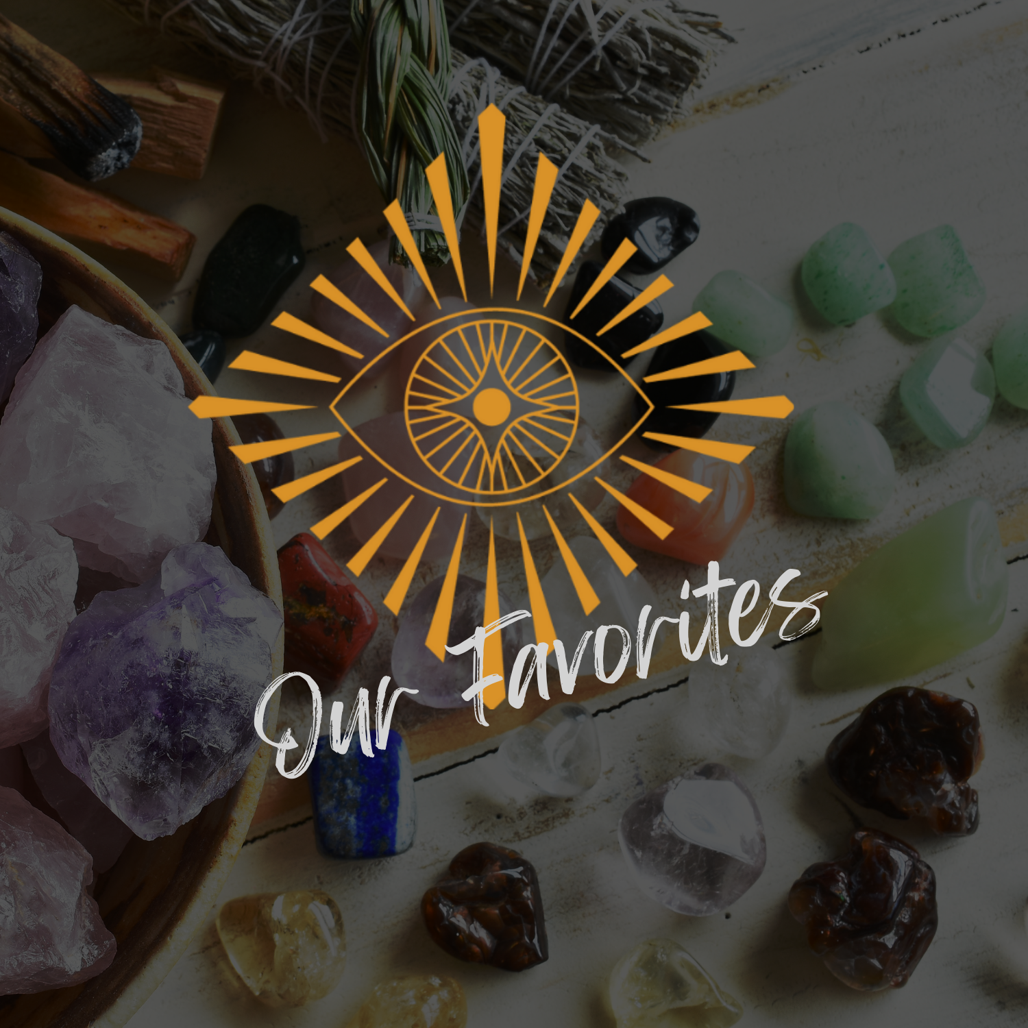 Our Favorites