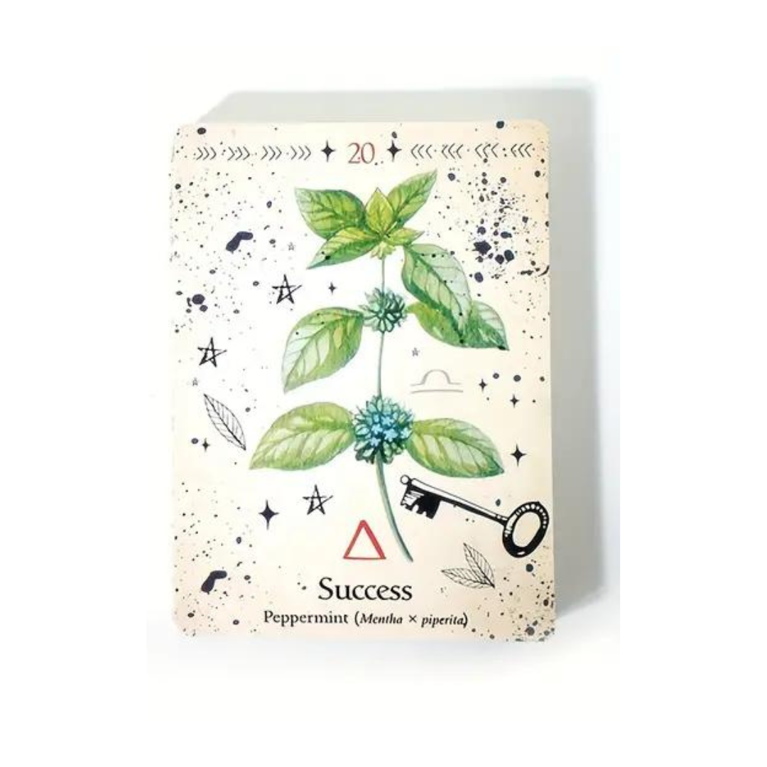 Green Witch Oracle Cards